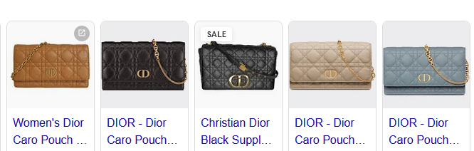 Dior Caro Pouch Bags